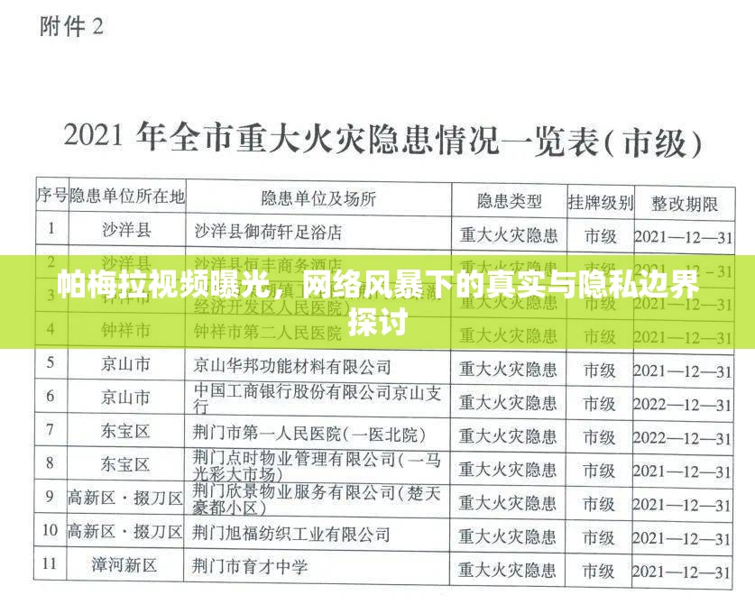 帕梅拉視頻曝光，網(wǎng)絡(luò)風(fēng)暴下的真實與隱私邊界探討