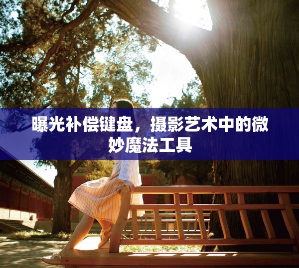 曝光補償鍵盤，攝影藝術中的微妙魔法工具