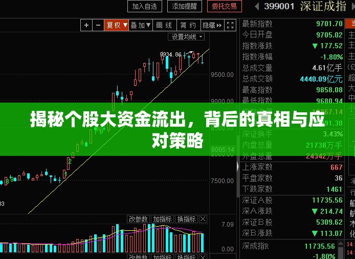 揭秘個股大資金流出，背后的真相與應對策略