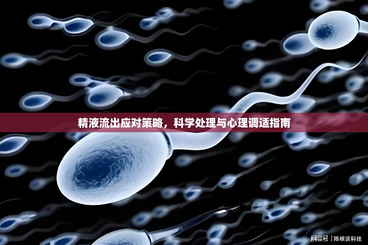 精液流出應(yīng)對(duì)策略，科學(xué)處理與心理調(diào)適指南