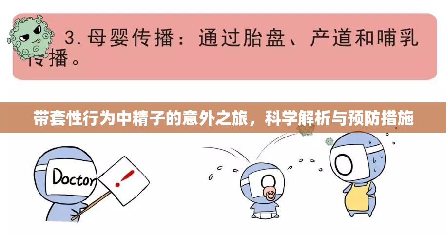 帶套性行為中精子的意外之旅，科學(xué)解析與預(yù)防措施