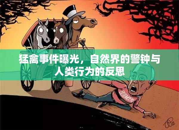 猛禽事件曝光，自然界的警鐘與人類行為的反思