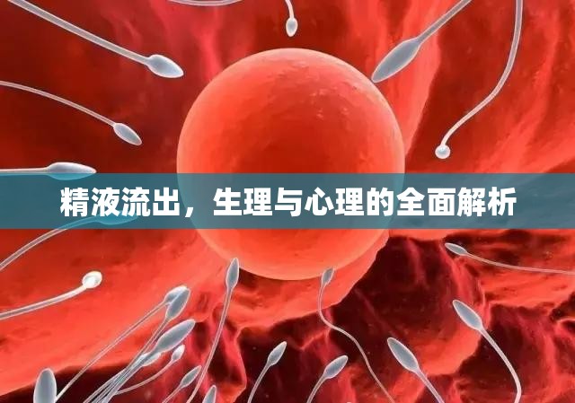 精液流出，生理與心理的全面解析