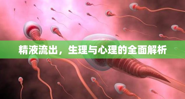 精液流出，生理與心理的全面解析