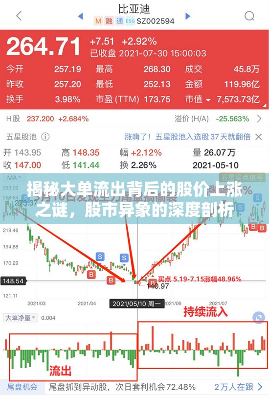 揭秘大單流出背后的股價上漲之謎，股市異象的深度剖析