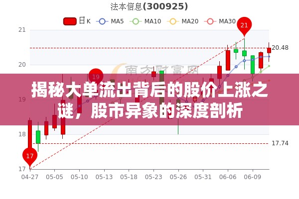 揭秘大單流出背后的股價上漲之謎，股市異象的深度剖析