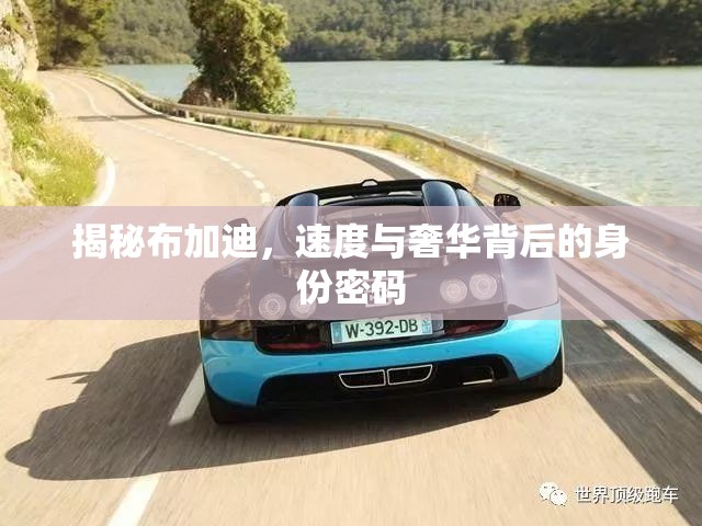 揭秘布加迪，速度與奢華背后的身份密碼