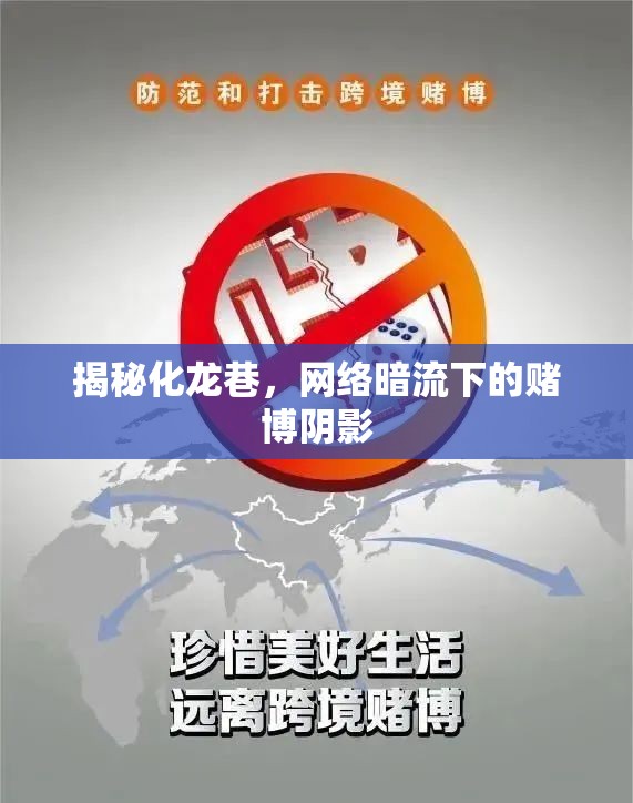 揭秘化龍巷，網絡暗流下的賭博陰影