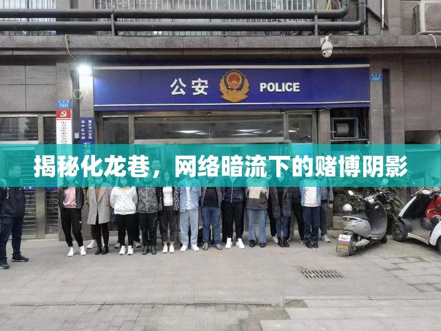 揭秘化龍巷，網絡暗流下的賭博陰影