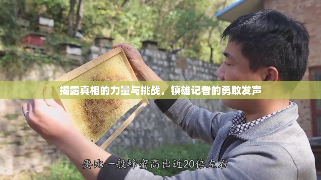 揭露真相的力量與挑戰(zhàn)，鎮(zhèn)雄記者的勇敢發(fā)聲