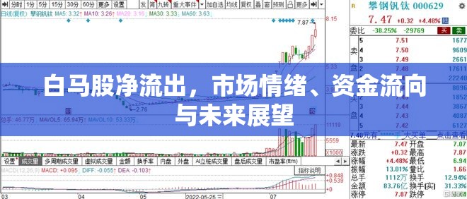 白馬股凈流出，市場情緒、資金流向與未來展望