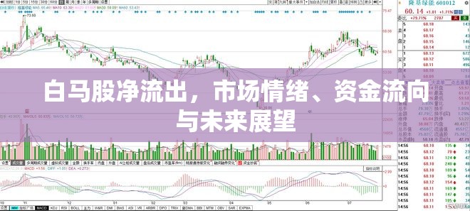 白馬股凈流出，市場情緒、資金流向與未來展望