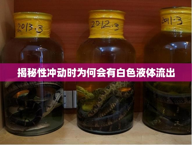 揭秘性沖動時為何會有白色液體流出