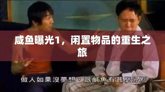 咸魚曝光1，閑置物品的重生之旅
