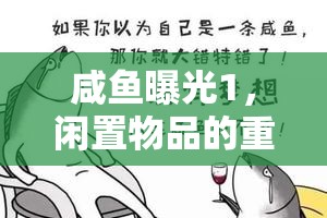咸魚曝光1，閑置物品的重生之旅
