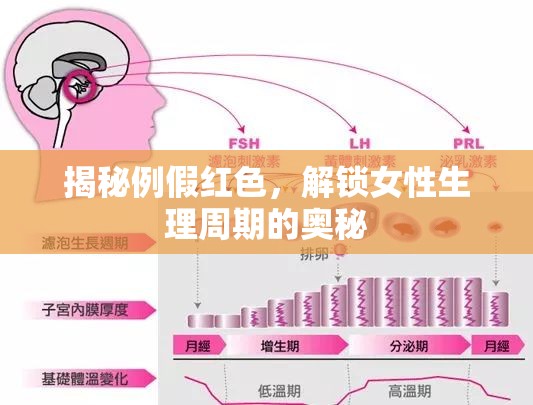 揭秘例假紅色，解鎖女性生理周期的奧秘