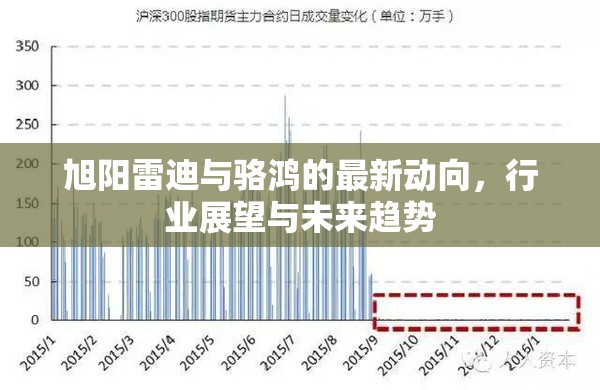旭陽雷迪與駱鴻的最新動(dòng)向，行業(yè)展望與未來趨勢