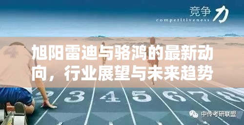 旭陽雷迪與駱鴻的最新動(dòng)向，行業(yè)展望與未來趨勢