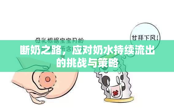 斷奶之路，應對奶水持續(xù)流出的挑戰(zhàn)與策略