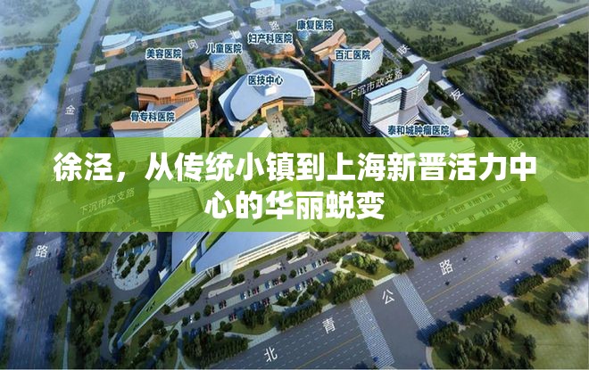徐涇，從傳統(tǒng)小鎮(zhèn)到上海新晉活力中心的華麗蛻變