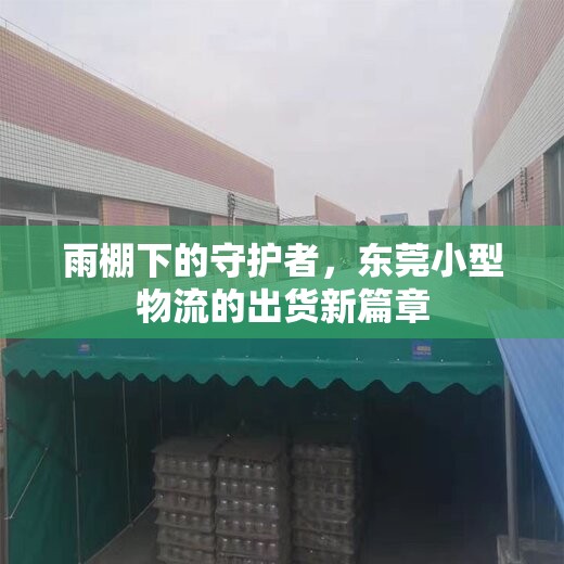 雨棚下的守護(hù)者，東莞小型物流的出貨新篇章