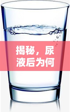 揭秘，尿液后為何有白色液體流出
