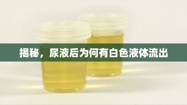 揭秘，尿液后為何有白色液體流出