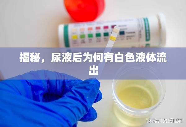 揭秘，尿液后為何有白色液體流出