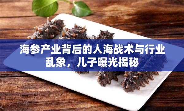 海參產(chǎn)業(yè)背后的人海戰(zhàn)術(shù)與行業(yè)亂象，兒子曝光揭秘