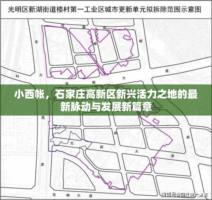 小西帳，石家莊高新區(qū)新興活力之地的最新脈動與發(fā)展新篇章