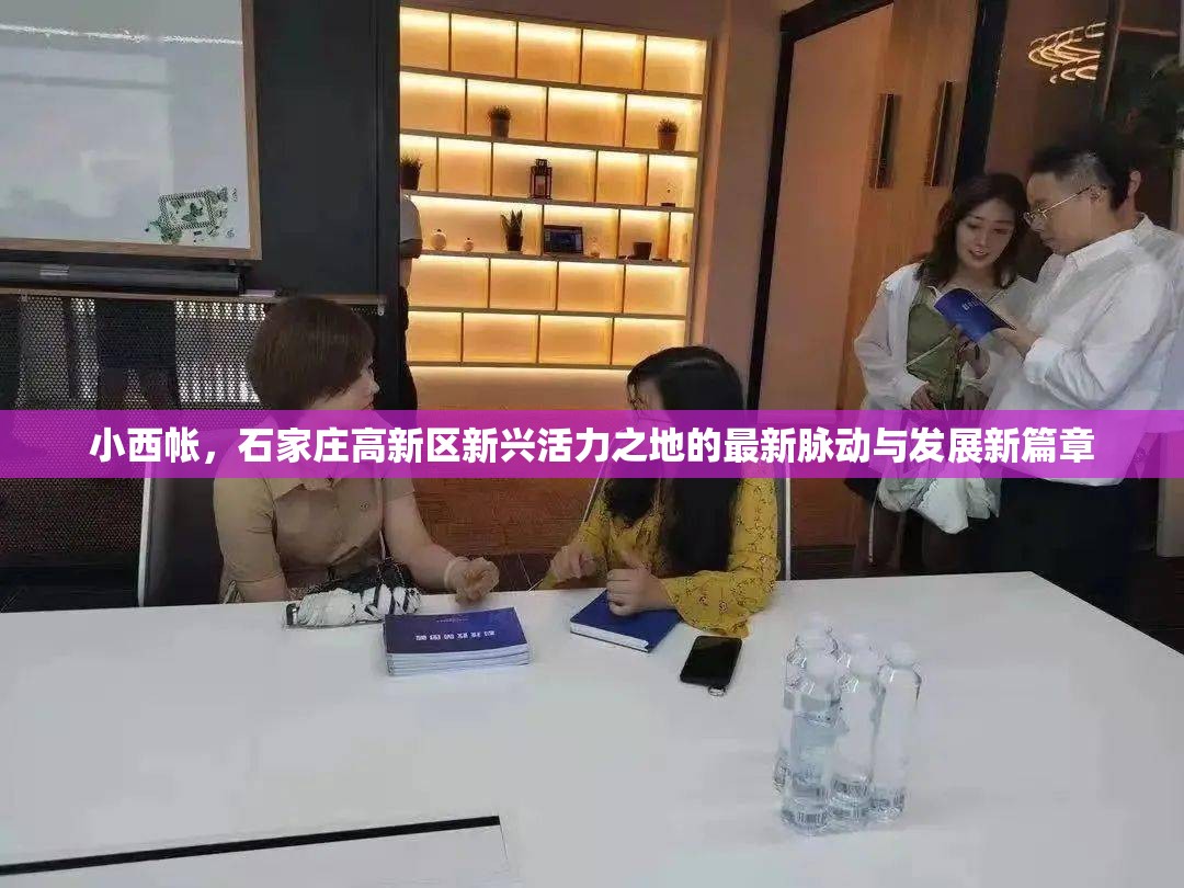 小西帳，石家莊高新區(qū)新興活力之地的最新脈動與發(fā)展新篇章