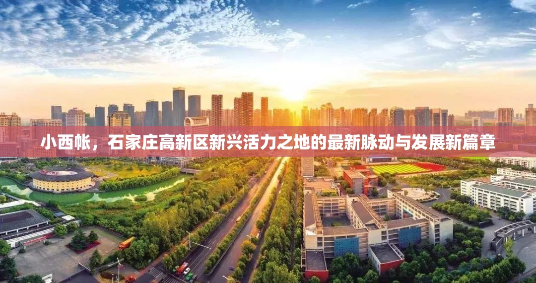 小西帳，石家莊高新區(qū)新興活力之地的最新脈動與發(fā)展新篇章