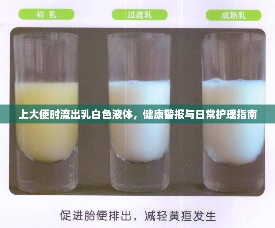 上大便時流出乳白色液體，健康警報與日常護理指南
