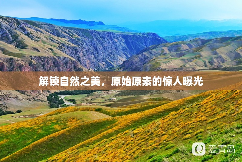 解鎖自然之美，原始原素的驚人曝光