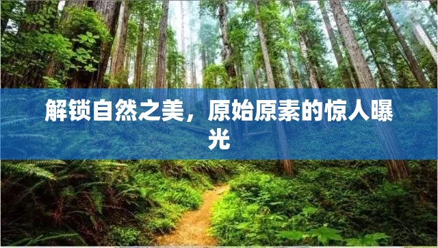解鎖自然之美，原始原素的驚人曝光