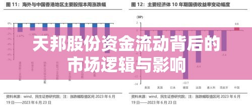 天邦股份資金流動背后的市場邏輯與影響