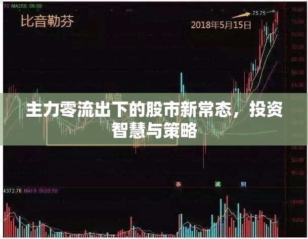 主力零流出下的股市新常態(tài)，投資智慧與策略