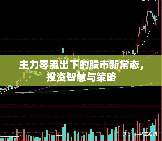 主力零流出下的股市新常態(tài)，投資智慧與策略