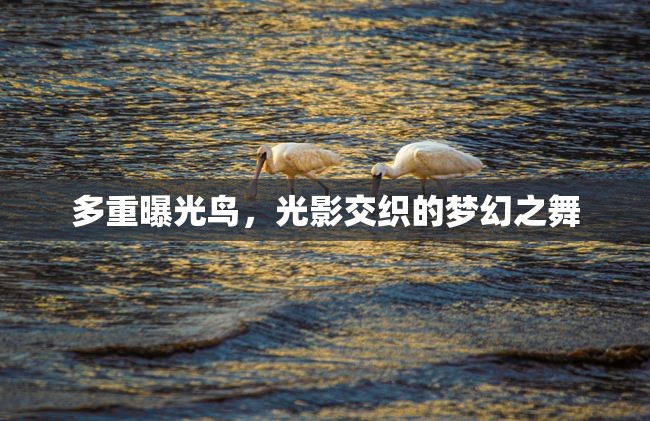 多重曝光鳥，光影交織的夢幻之舞