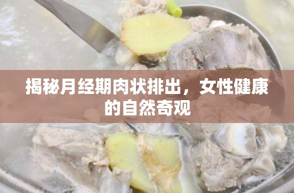揭秘月經(jīng)期肉狀排出，女性健康的自然奇觀