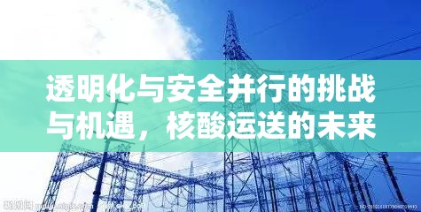 透明化與安全并行的挑戰(zhàn)與機遇，核酸運送的未來之路