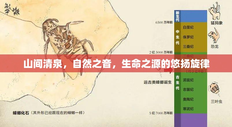 山間清泉，自然之音，生命之源的悠揚旋律