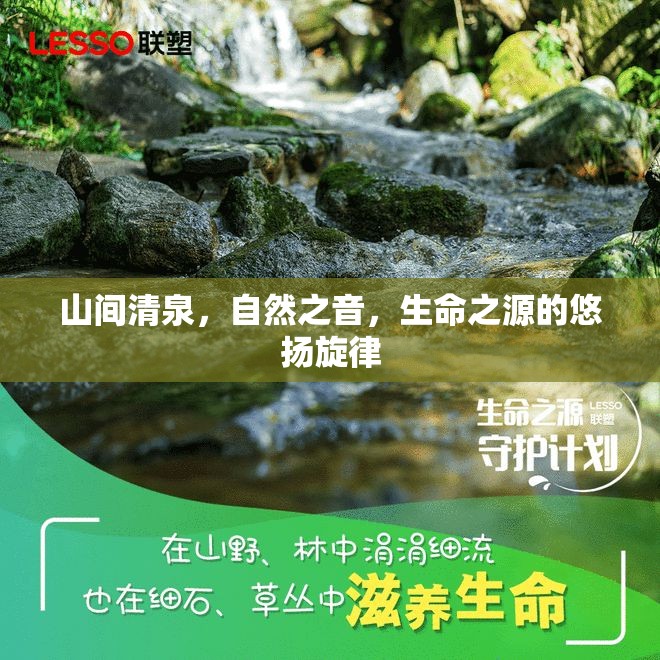 山間清泉，自然之音，生命之源的悠揚旋律
