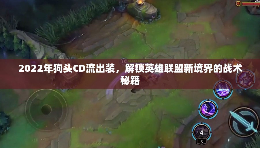 2022年狗頭CD流出裝，解鎖英雄聯(lián)盟新境界的戰(zhàn)術(shù)秘籍