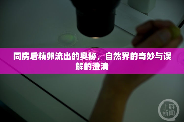 同房后精卵流出的奧秘，自然界的奇妙與誤解的澄清