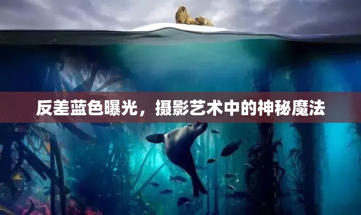 反差藍(lán)色曝光，攝影藝術(shù)中的神秘魔法
