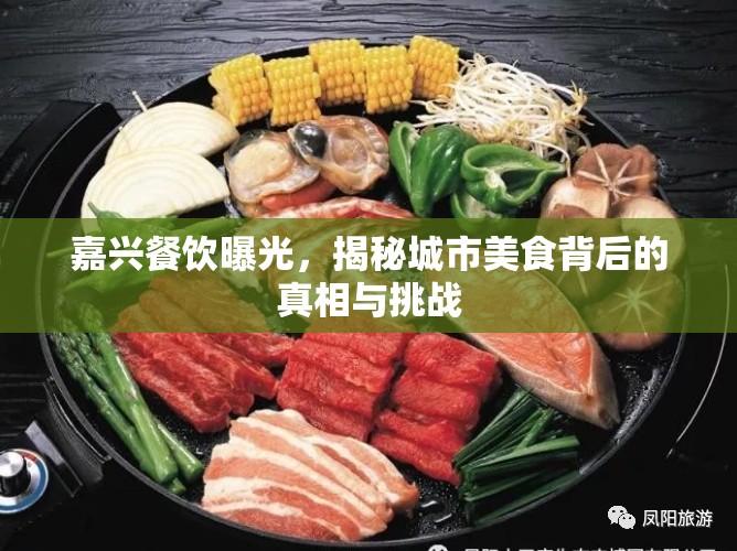 嘉興餐飲曝光，揭秘城市美食背后的真相與挑戰(zhàn)
