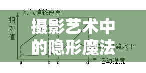 攝影藝術(shù)中的隱形魔法，密度與曝光曲線的奧秘