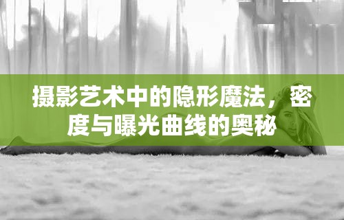 攝影藝術(shù)中的隱形魔法，密度與曝光曲線的奧秘