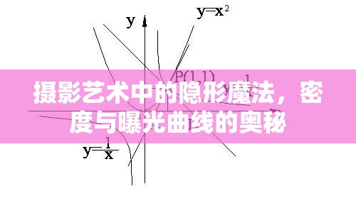 攝影藝術(shù)中的隱形魔法，密度與曝光曲線的奧秘